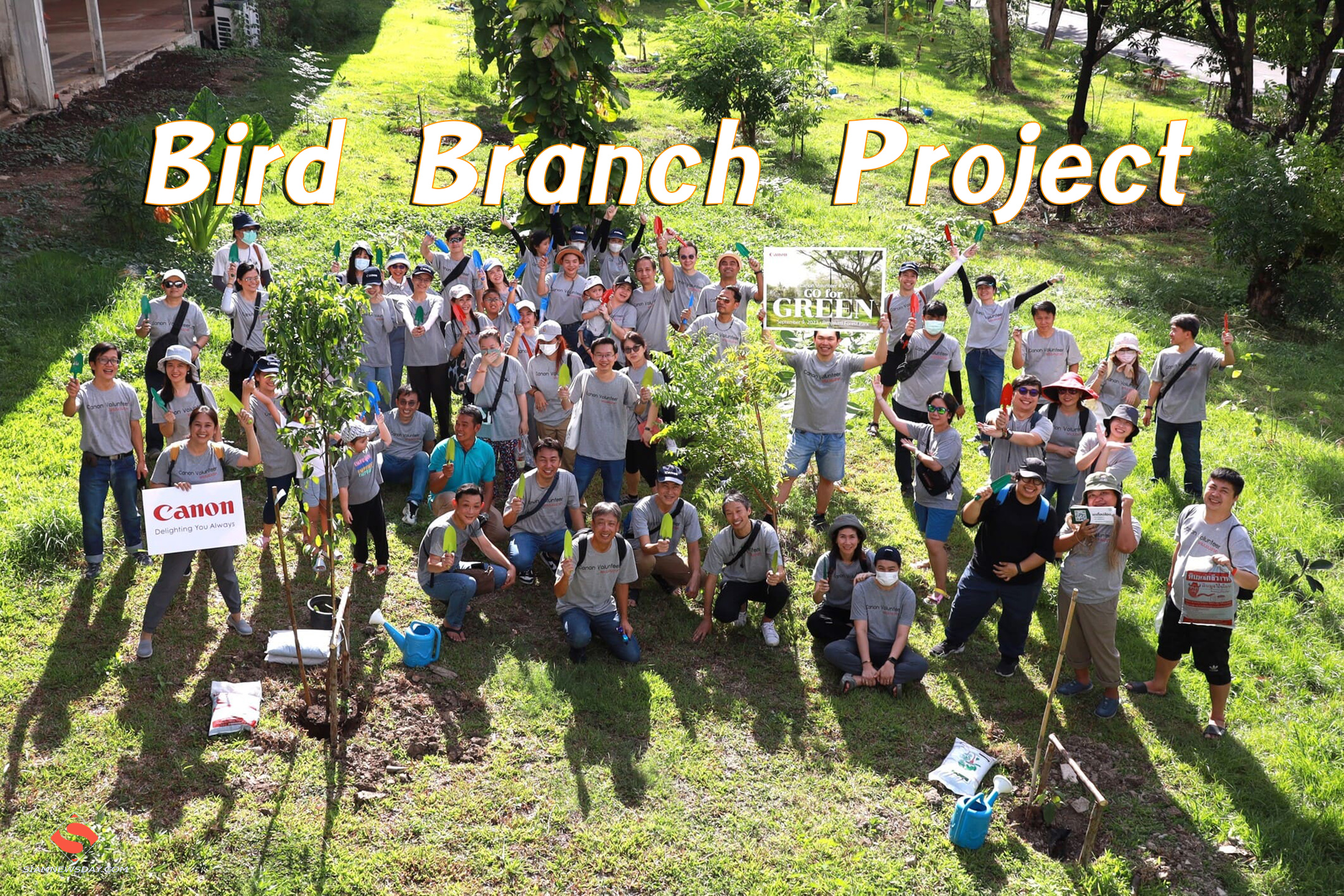 Bird Branch Project