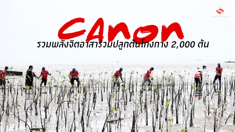 แคนนอน รวมพลังจิตอาสาร่วมปลูกต้นโกงกาง 2,000 ต้น