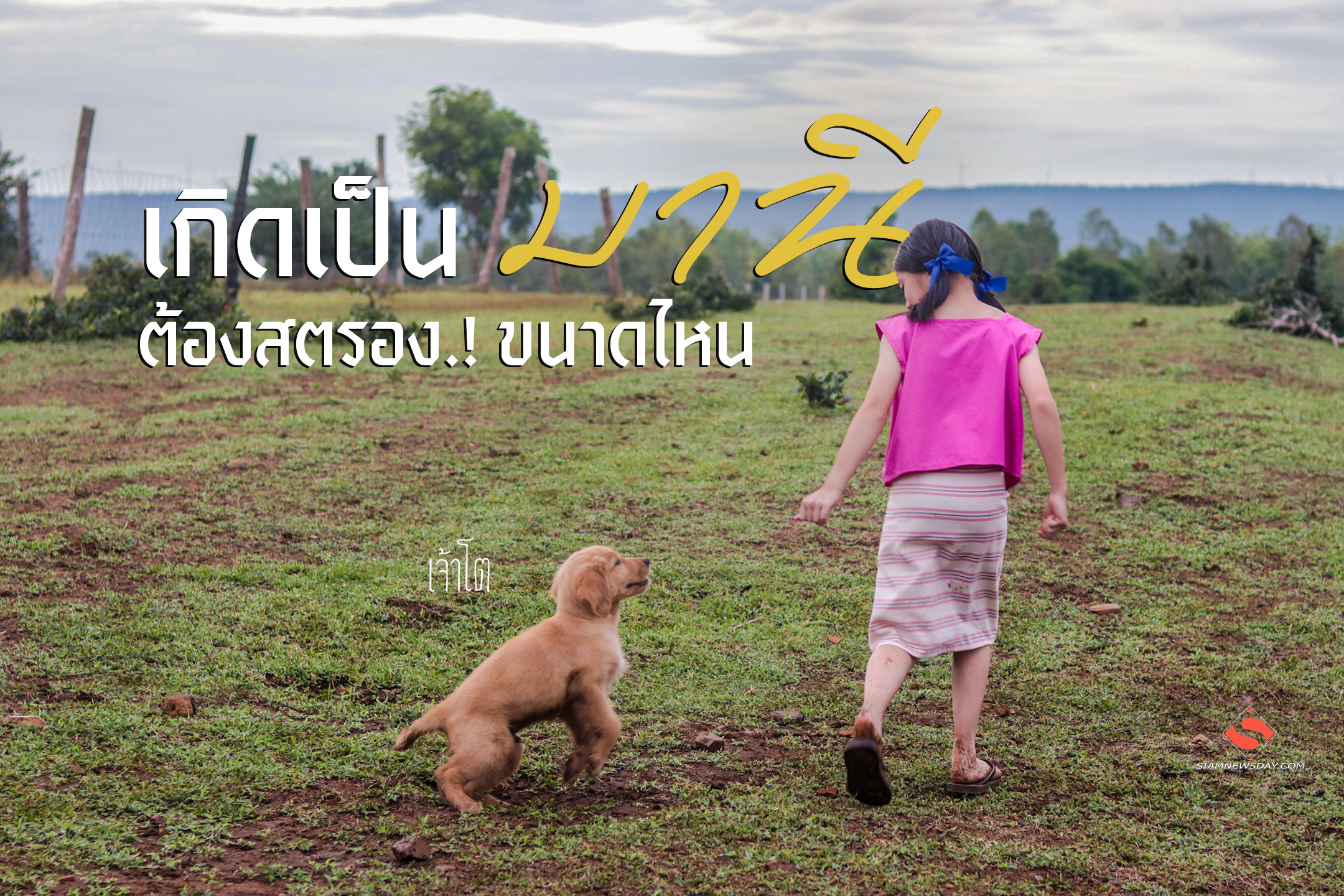 เกิดเป็น “มานี” ต้องสตรอง! ขนาดไหน