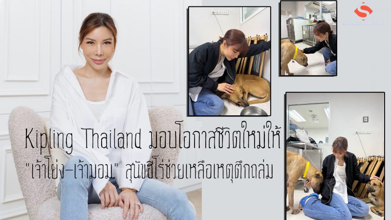 Kipling Thailand มอบโอกาสชีวิตใหม่ให้ “เจ้าโย่ง-เจ้ามอม” สุนัขฮีโร่ช่วยเหลือเหตุตึกถล่ม
