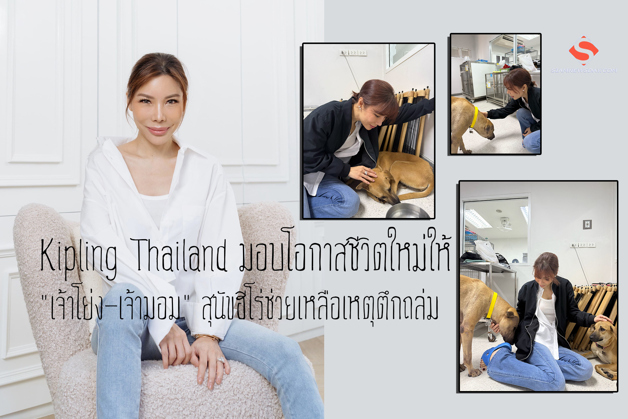 Kipling Thailand มอบโอกาสชีวิตใหม่ให้ “เจ้าโย่ง-เจ้ามอม” สุนัขฮีโร่ช่วยเหลือเหตุตึกถล่ม