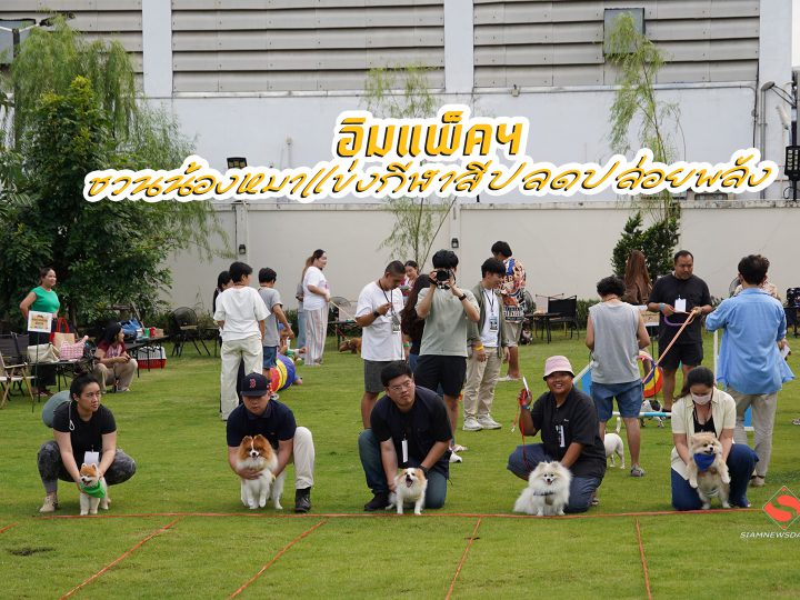 อิมแพ็คฯ ชวนน้องหมาแข่งกีฬาสีปลดปล่อยพลัง