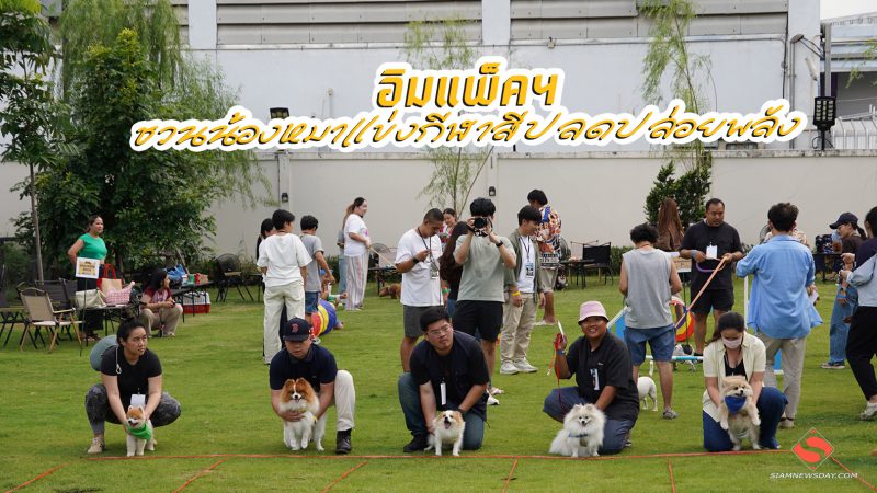 อิมแพ็คฯ ชวนน้องหมาแข่งกีฬาสีปลดปล่อยพลัง