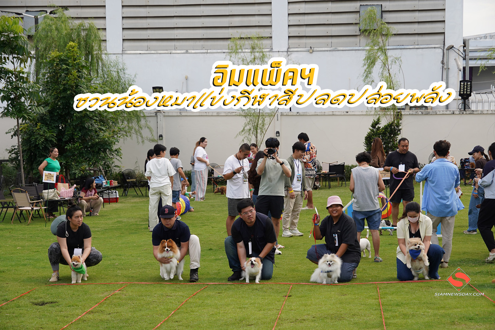 อิมแพ็คฯ ชวนน้องหมาแข่งกีฬาสีปลดปล่อยพลัง