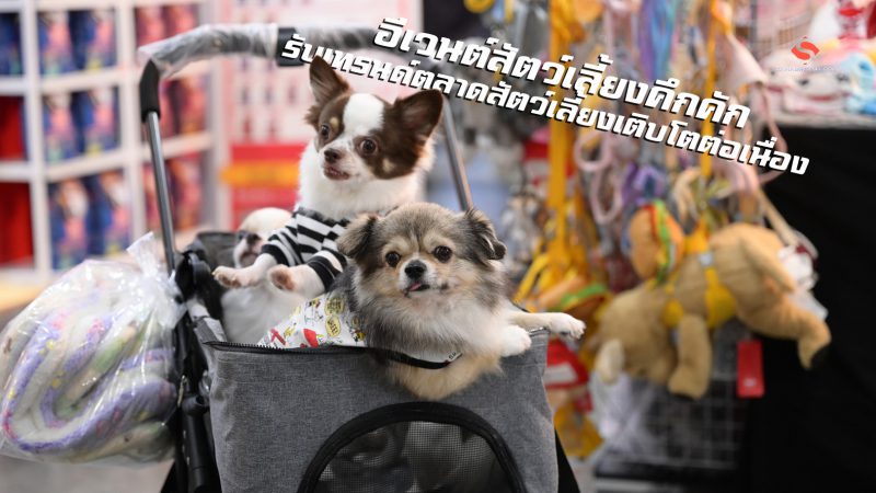 อีเวนต์สัตว์เลี้ยงคึกคักรับเทรนด์ตลาดสัตว์เลี้ยงเติบโตต่อเนื่อง