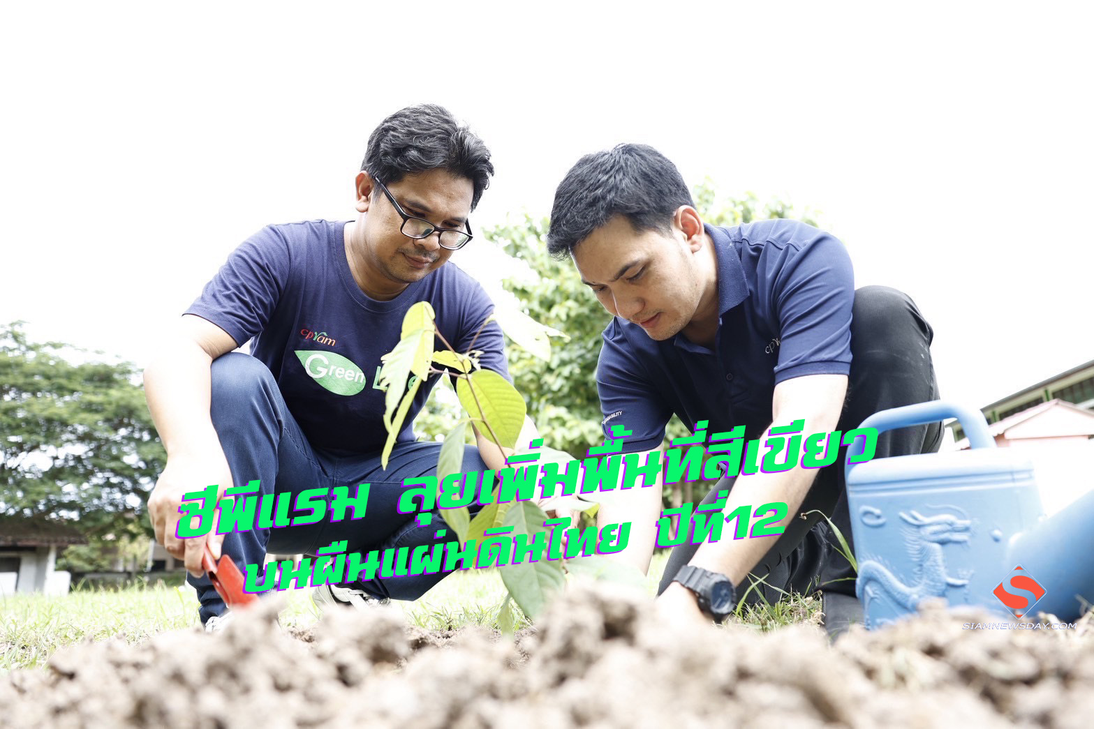 ซีพีแรม ลุยเพิ่มพื้นที่สีเขียวบนผืนแผ่นดินไทย ปีที่12