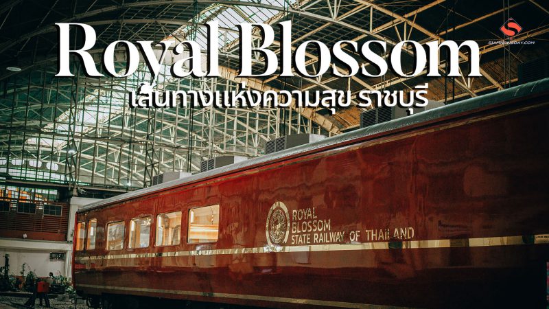 “Royal Blossom” เส้นทางแห่งความสุข ราชบุรี  โดย “โซ ดู ไอ” เพราะการเดินทางไม่จำกัดวัย อิ่ม อบอุ่น ราคาจับต้องได้
