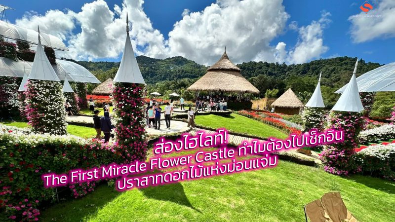 ส่องไฮไลท์! The First Miracle Flower Castle ทำไมต้องไปเช็กอิน ปราสาทดอกไม้แห่งม่อนแจ่ม